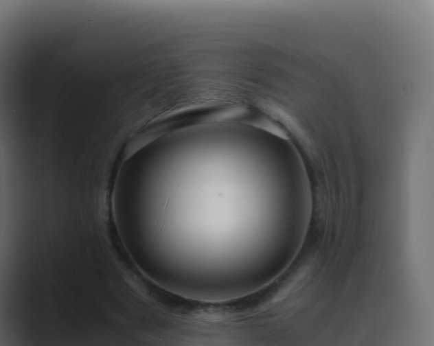 X0000089730489200706281552