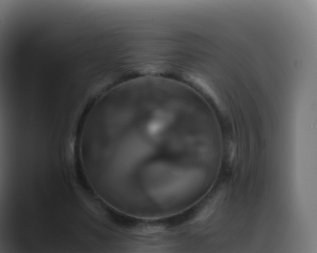X0000089730491200706281552