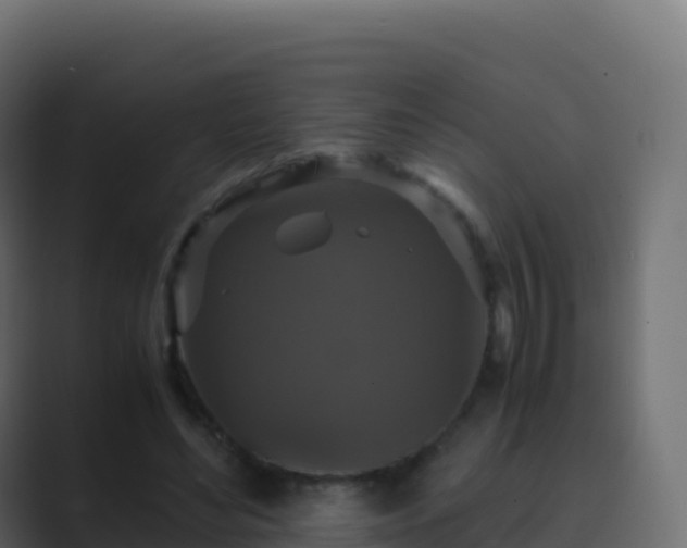 X0000089730492200706281552
