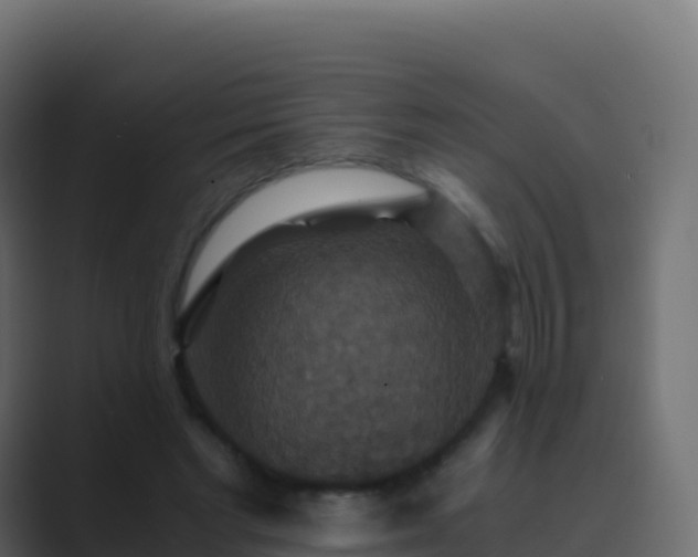X0000089730493200706281552