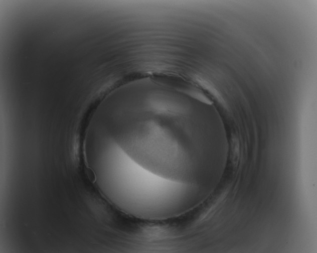 X0000089730494200706281552