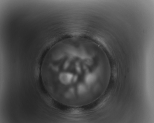 X0000089730495200706281552