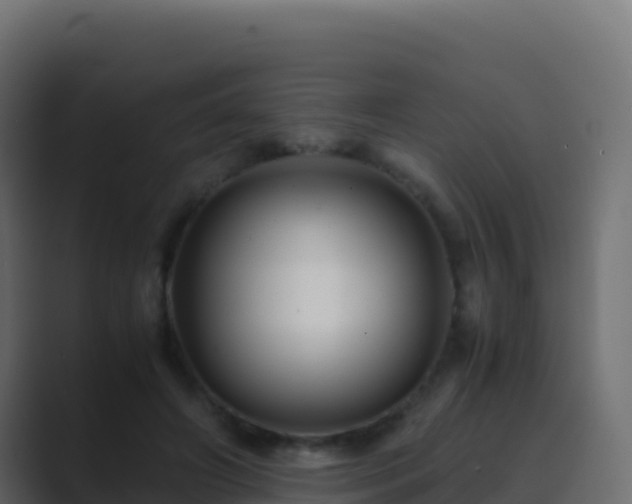 X0000089730498200706281552