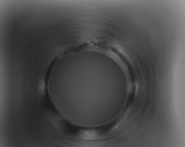 X0000089730500200706281552