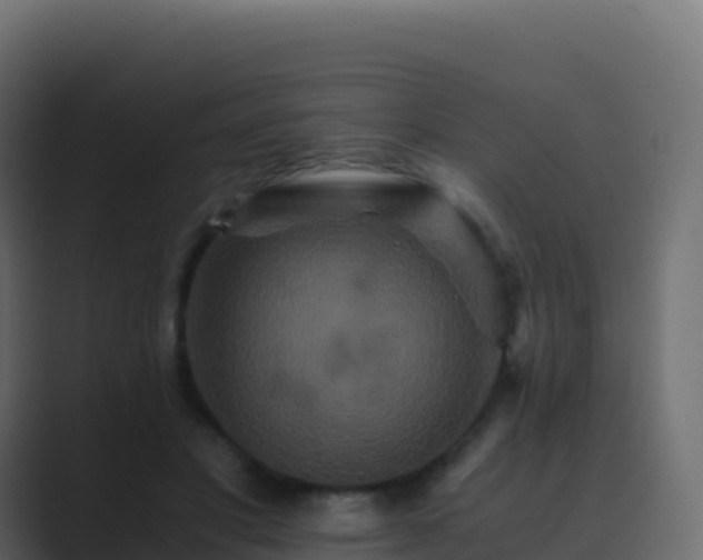 X0000089730501200706281552