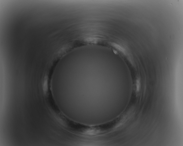 X0000089730504200706281552