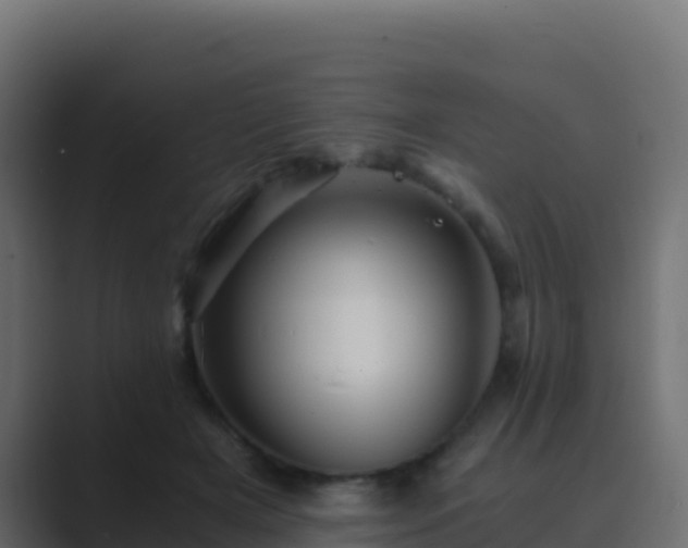 X0000089730505200706281552