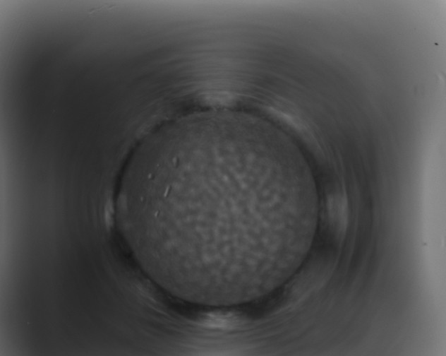 X0000089730508200706281552