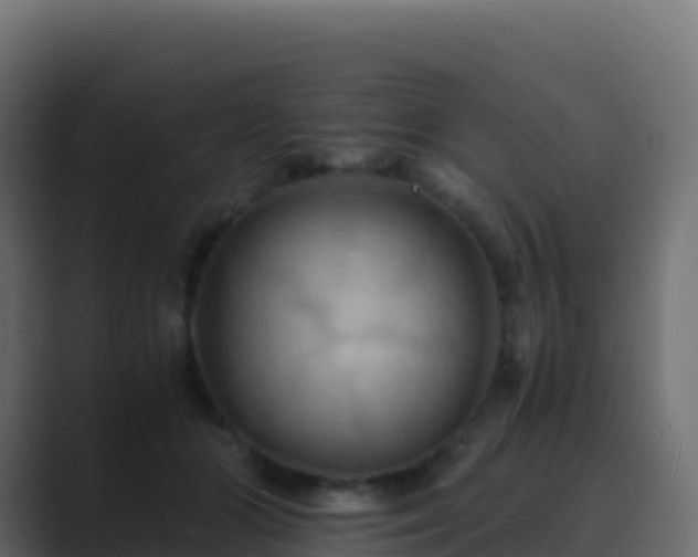 X0000089730510200706281551