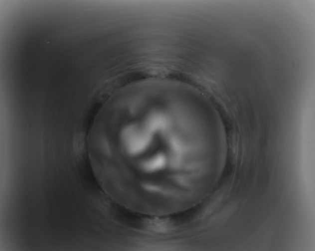 X0000089730511200706281551