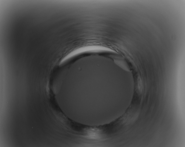 X0000089730512200706281551