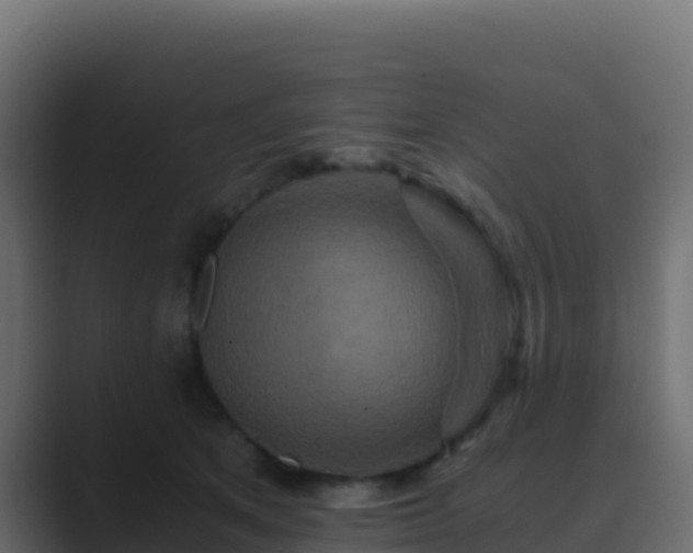 X0000089730513200706281551
