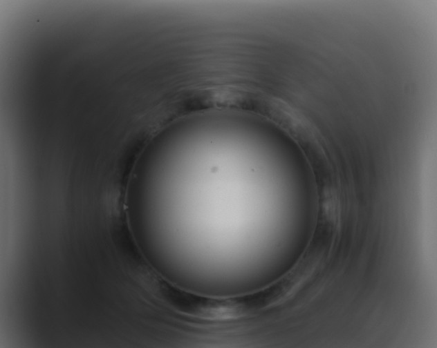 X0000089730514200706281551