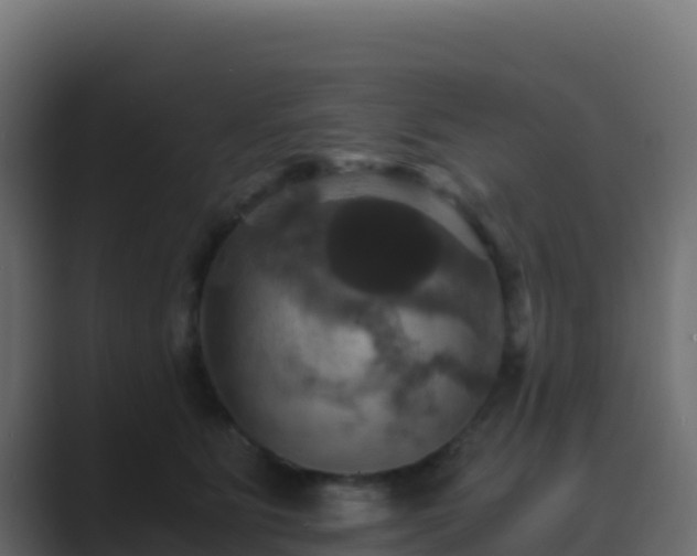 X0000089730515200706281551