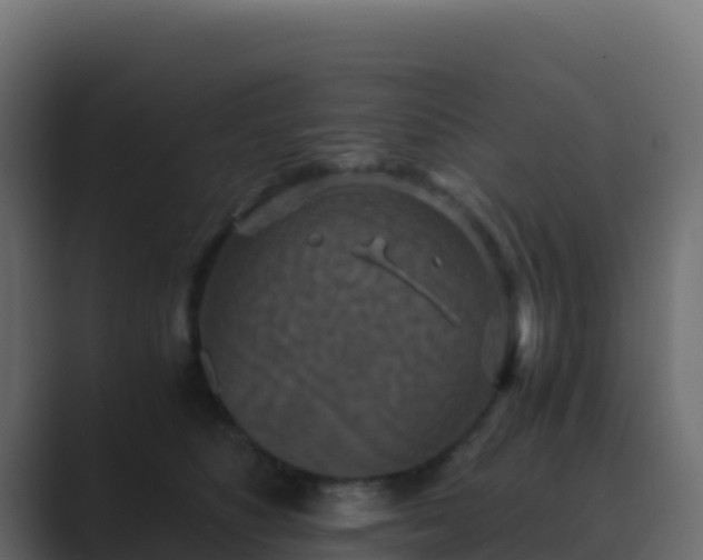 X0000089730516200706281551