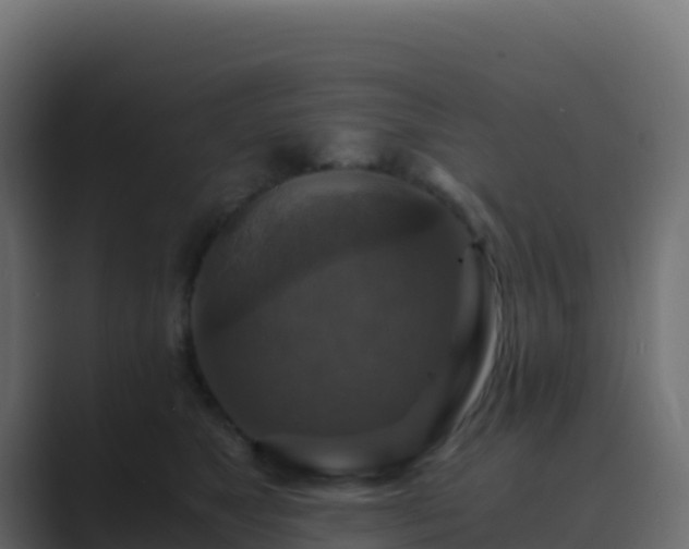 X0000089730517200706281551