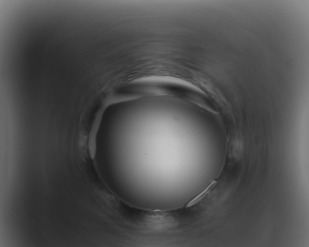 X0000089730521200706281551