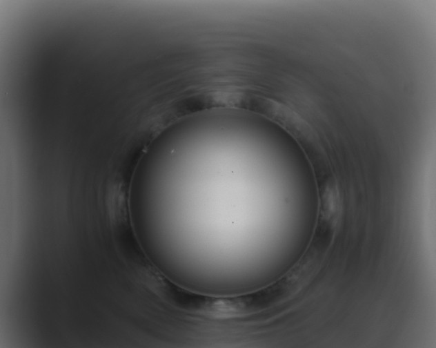 X0000089730522200706281551