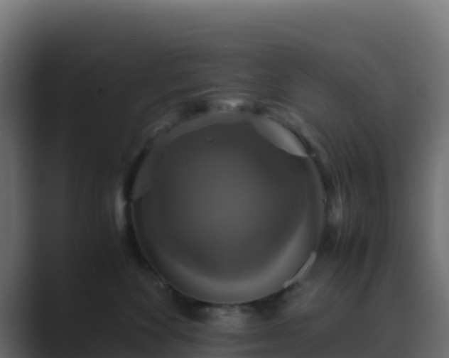 X0000089730524200706281551
