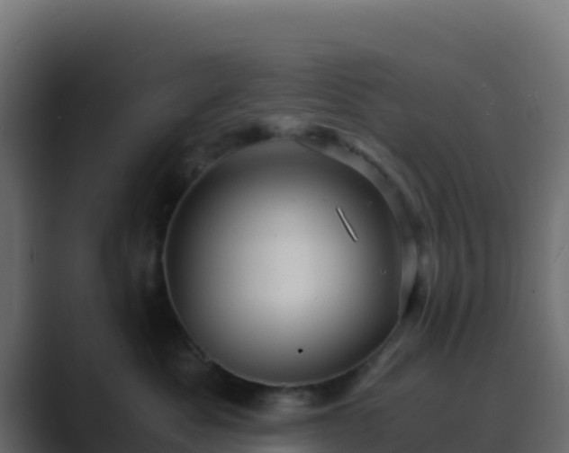 X0000089730525200706281551