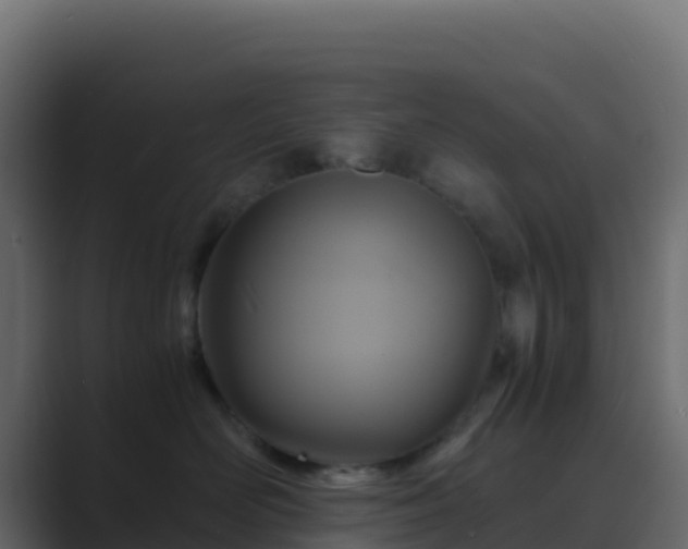 X0000089730526200706281551