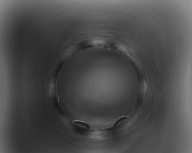 X0000089730527200706281551