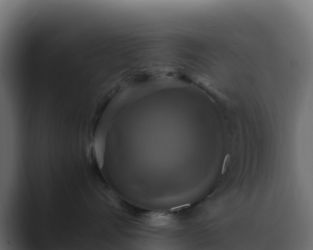 X0000089730528200706281551