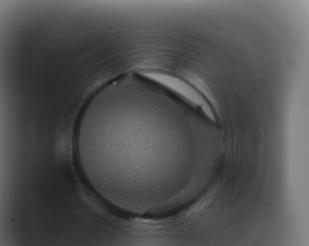 X0000089730530200706281551