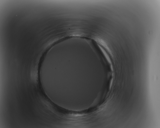 X0000089730531200706281551