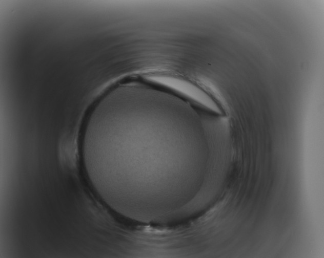 X0000089730532200706281551