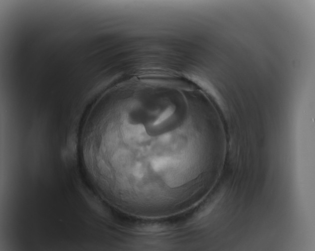 X0000089730533200706281551