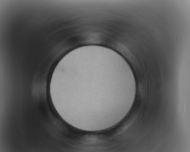 X0000089730534200706281551