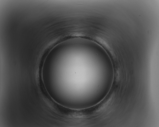X0000089730535200706281551