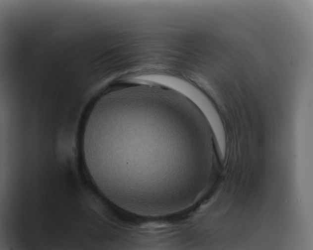 X0000089730536200706281551