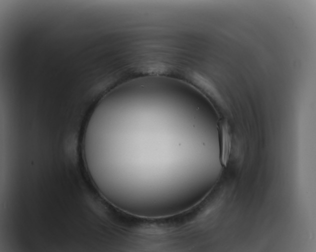 X0000089730538200706281551