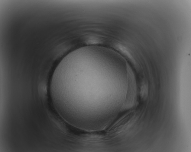 X0000089730539200706281551