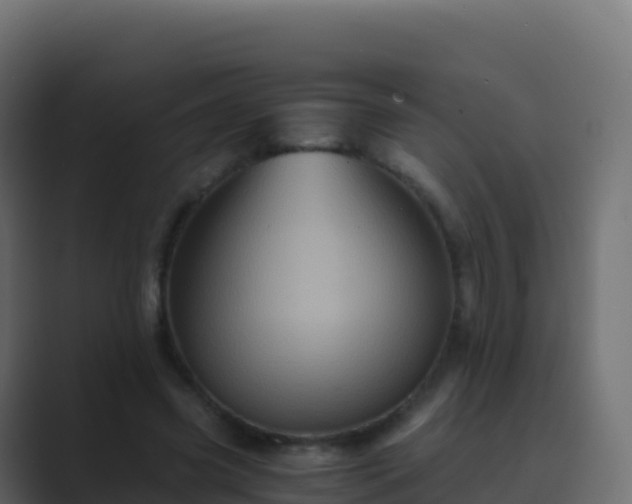 X0000089730541200706281551