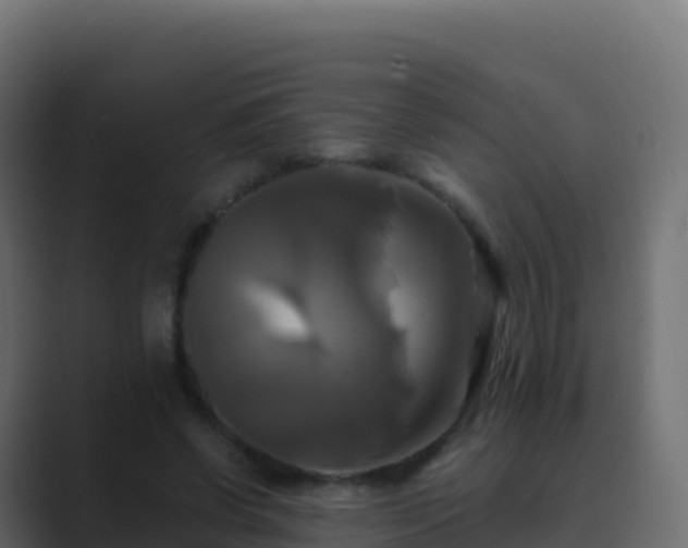 X0000089730542200706281551