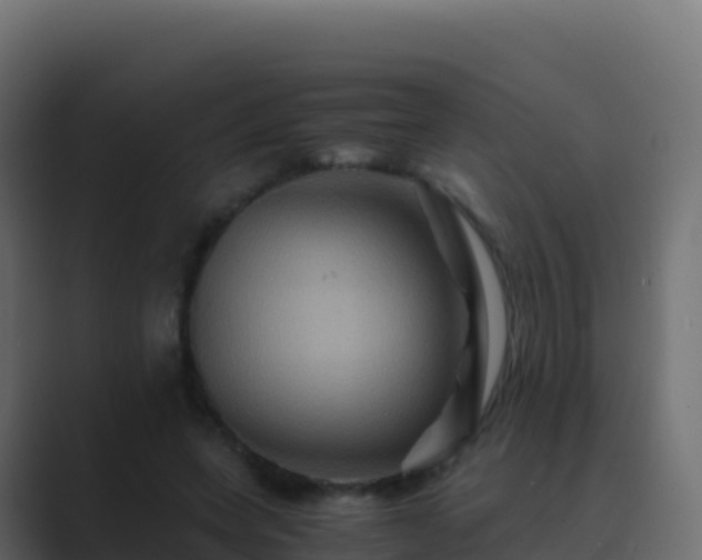 X0000089730543200706281551