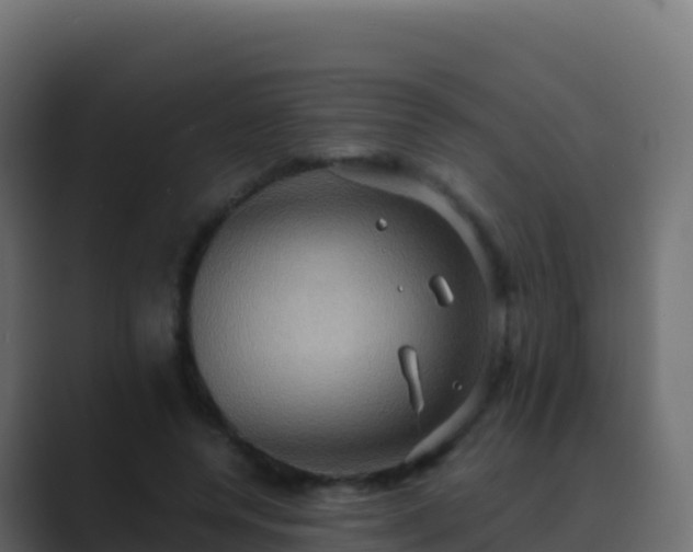 X0000089730544200706281551