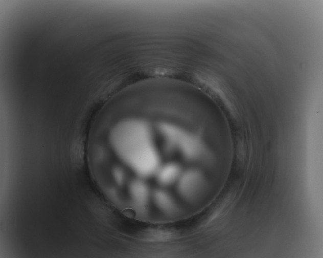 X0000089730545200706281551