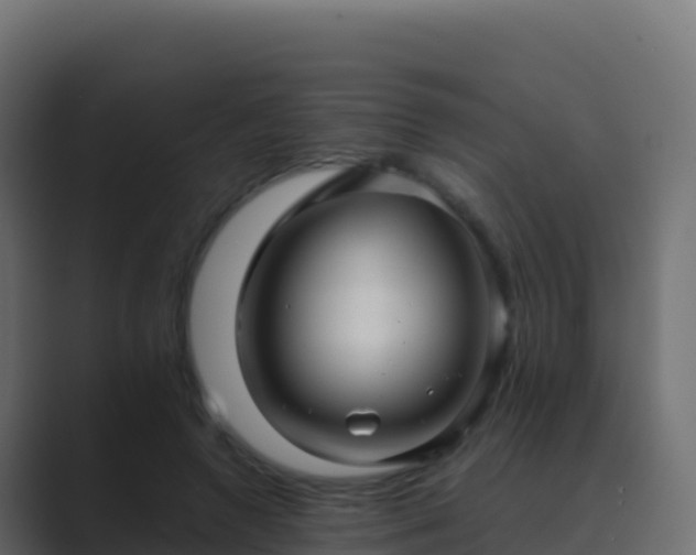 X0000089730546200706281551