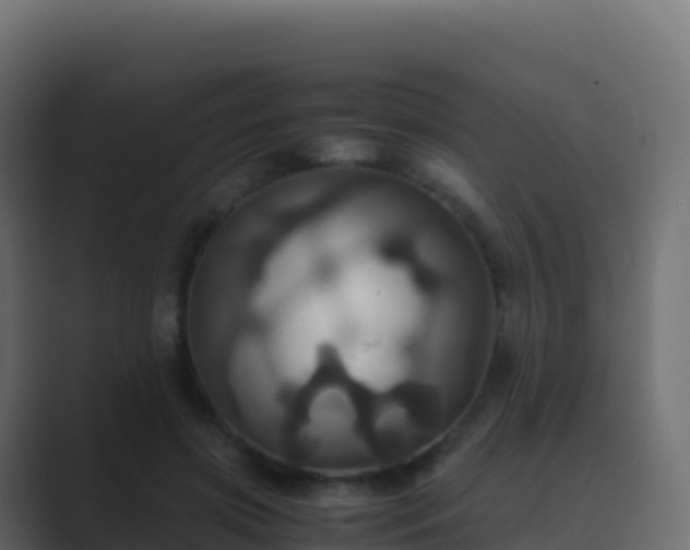 X0000089730549200706281551