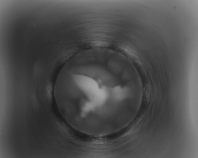X0000089730550200706281551