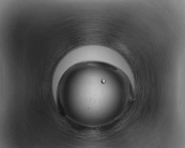 X0000089730552200706281551