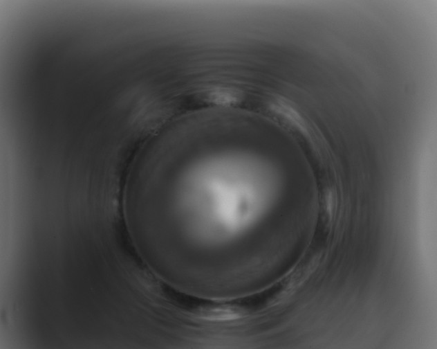 X0000089730553200706281551