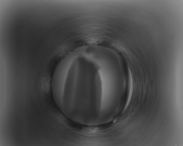 X0000089730554200706281551