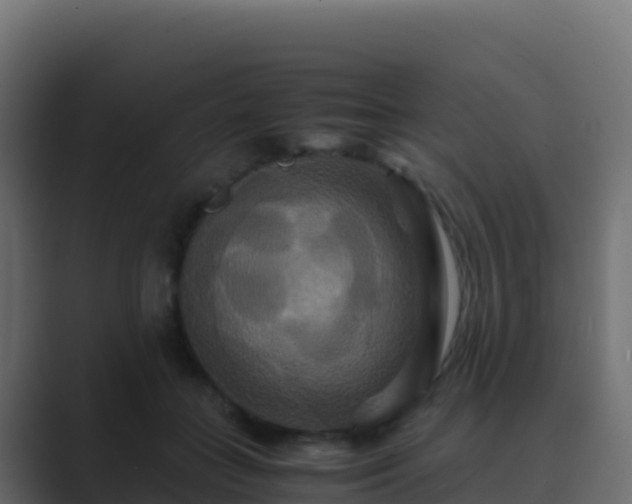 X0000089730555200706281551