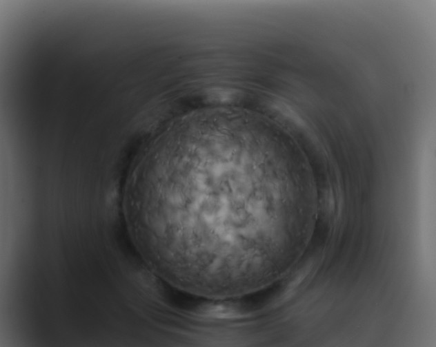 X0000089730557200706281551