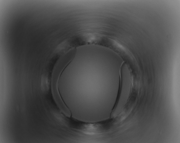 X0000089730558200706281551
